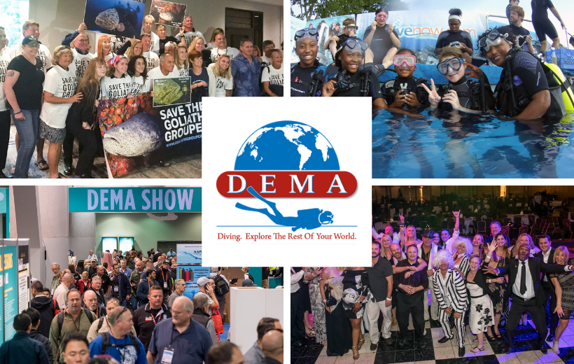 Diving Equipment Marketing Association