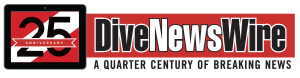 DNW Logo