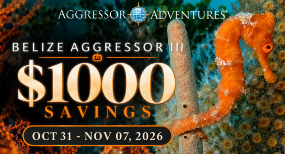Aggressor Adventures® Announces Last-Minute $1,000 Savings on Belize Aggressor III®